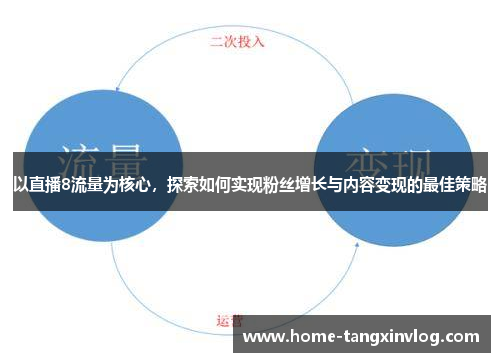 以直播8流量为核心，探索如何实现粉丝增长与内容变现的最佳策略